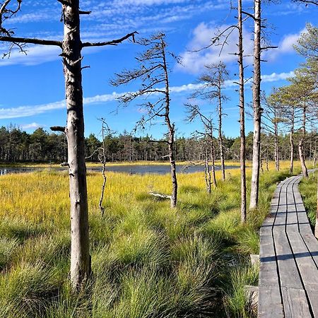 Hotel Kakupesa Puhkemaja Hara Exteriér fotografie