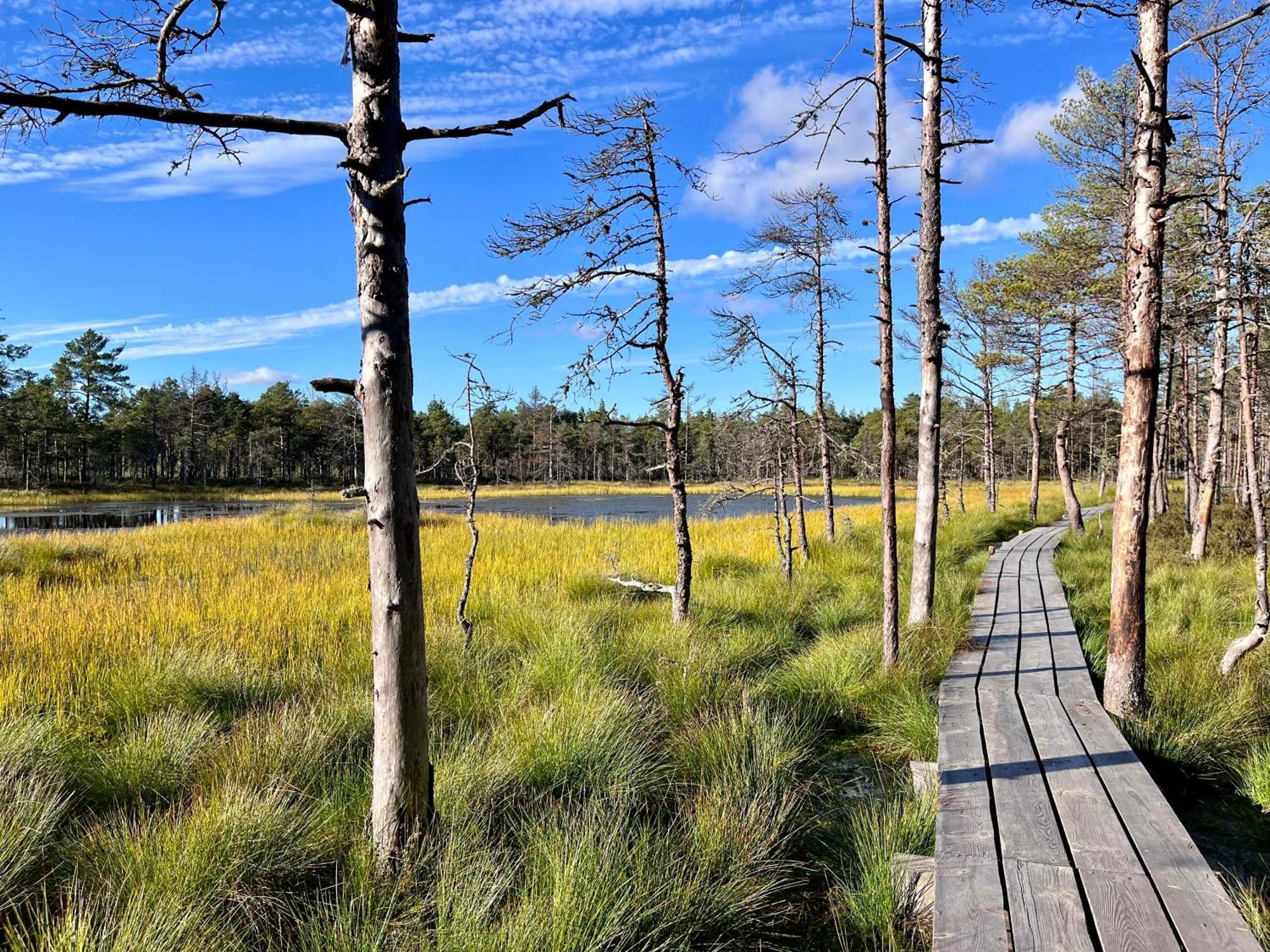 Hotel Kakupesa Puhkemaja Hara Exteriér fotografie