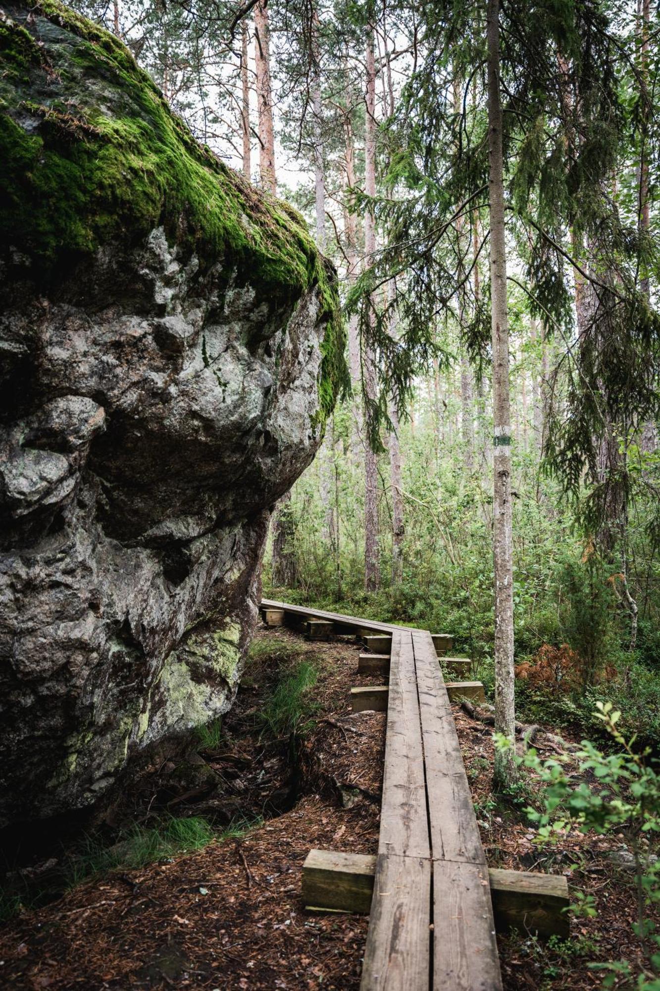 Hotel Kakupesa Puhkemaja Hara Exteriér fotografie
